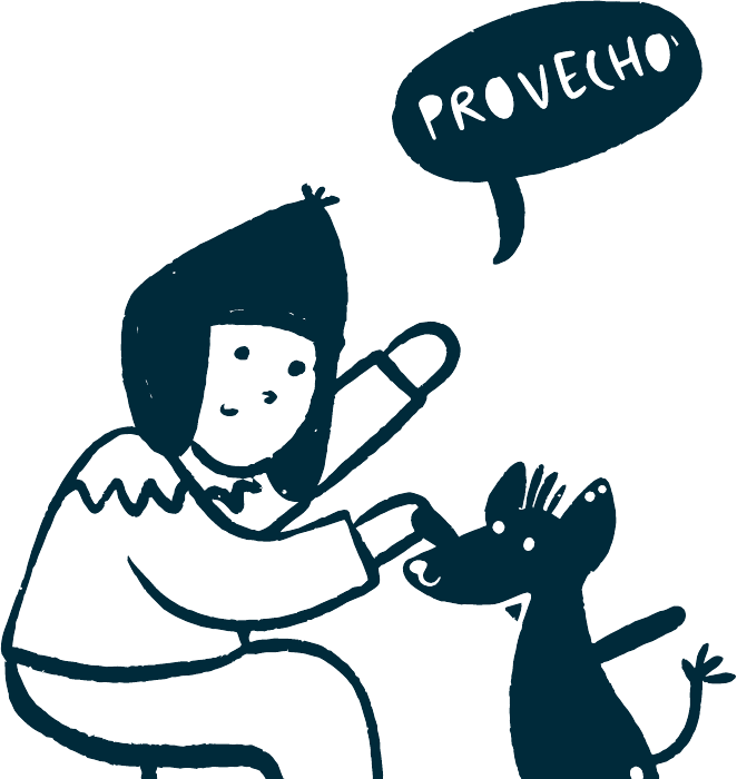 Persona alimentando a su perro con comida casera Alqo